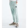 imageTHE NORTH FACE Mens Core JoggerMuted Pine
