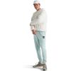 imageTHE NORTH FACE Mens Core JoggerMuted Pine