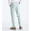 imageTHE NORTH FACE Mens Core JoggerMuted Pine