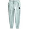 imageTHE NORTH FACE Mens Core JoggerMuted Pine