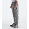 imageTHE NORTH FACE Mens Core JoggerTnf Medium Grey HeatherTnf Black