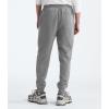 imageTHE NORTH FACE Mens Core JoggerTnf Medium Grey HeatherTnf Black