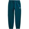imageTHE NORTH FACE Mens Core Sweatpant Standard and Big SizeMidnight PetrolTnf White