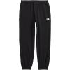 imageTHE NORTH FACE Mens Core Sweatpant Standard and Big SizeTnf BlackTnf White
