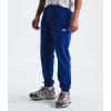 imageTHE NORTH FACE Mens Core Sweatpant Standard and Big SizeTnf Blue