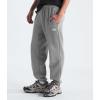 imageTHE NORTH FACE Mens Core Sweatpant Standard and Big SizeTnf Medium Grey HeatherTnf White