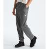imageTHE NORTH FACE Mens Glacier Fleece PantSmoked Pearl