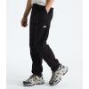 imageTHE NORTH FACE Mens Glacier Fleece PantTnf Black