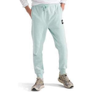 imageTHE NORTH FACE Mens Core JoggerMuted Pine