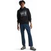 imageTHE NORTH FACE Mens Brand Proud Hoodie Standard and Big SizeTnf BlackSteel Blue
