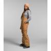 imageTHE NORTH FACE Womens Freedom Bib Standard and Plus Size  PFAS FreeAlmond Butter