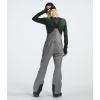 imageTHE NORTH FACE Womens Freedom Bib Standard and Plus Size  PFAS FreeTnf Medium Grey Heather