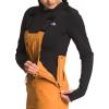 imageTHE NORTH FACE Womens Freedom Bib Standard and Plus Size  PFAS FreeTopaz