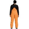 imageTHE NORTH FACE Womens Freedom Bib Standard and Plus Size  PFAS FreeTopaz