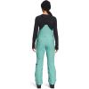imageTHE NORTH FACE Womens Freedom Bib Standard and Plus Size  PFAS FreeWasabi