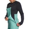 imageTHE NORTH FACE Womens Freedom Bib Standard and Plus Size  PFAS FreeWasabi