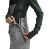 imageTHE NORTH FACE Womens Freedom Bib Standard and Plus Size  PFAS FreeWasabi