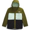 imageTHE NORTH FACE Womens Freedom Insulated Jacket Standard and Plus Size  PFAS FreeForest OlivePale GreenTnf Black