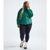 imageTHE NORTH FACE Womens Osito Full Zip Fleece Jacket Standard and Plus SizeEvergreen