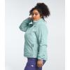 imageTHE NORTH FACE Womens Osito Full Zip Fleece Jacket Standard and Plus SizeMuted Pine