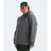 imageTHE NORTH FACE Womens Plus Shelbe Raschel HoodieSmoked Pearl Heather