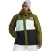 imageTHE NORTH FACE Womens Freedom Insulated Jacket Standard and Plus Size  PFAS FreeForest OlivePale GreenTnf Black