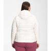 imageTHE NORTH FACE Womens ThermoBall Eco Hoodie 20 Standard and Plus Size  PFAS FreeGardenia Whitenpf