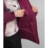 imageTHE NORTH FACE Womens ThermoBall Eco Snow Triclimate Jacket Standard and Plus SizeBoysenberry