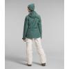 imageTHE NORTH FACE Womens ThermoBall Eco Snow Triclimate Jacket Standard and Plus SizeDark Sage
