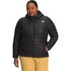 imageTHE NORTH FACE Womens ThermoBall Eco Hoodie 20 Standard and Plus Size  PFAS FreeTnf Blacknpf
