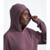 imageTHE NORTH FACE Chabot HoodieMidnight Mauve