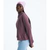 imageTHE NORTH FACE Chabot HoodieMidnight Mauve