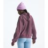 imageTHE NORTH FACE Chabot HoodieMidnight Mauve
