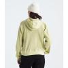 imageTHE NORTH FACE Chabot HoodieNettle