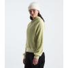 imageTHE NORTH FACE Chabot HoodieNettle
