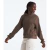 imageTHE NORTH FACE Chabot HoodieSmokey Brown
