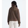 imageTHE NORTH FACE Chabot HoodieSmokey Brown