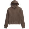 imageTHE NORTH FACE Chabot HoodieSmokey Brown