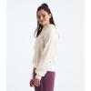 imageTHE NORTH FACE Chabot HoodieWhite Dune