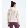 imageTHE NORTH FACE Chabot HoodieWhite Dune