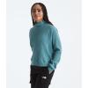 imageTHE NORTH FACE Womens Long Sleeve Mock Neck ChabotAlgae Blue