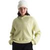 imageTHE NORTH FACE Chabot HoodieNettle