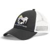 Asphalt Grey/Tnf White/Bear Graphic