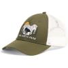Forest Olive/Tnf White/Bear Graphic
