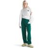imageTHE NORTH FACE Womens SS Box NSE TeeTnf WhiteArt