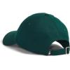 imageTHE NORTH FACE Norm Baseball HatHunter Green
