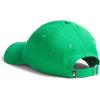 imageTHE NORTH FACE Norm Baseball HatOptic Emerald