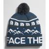 imageTHE NORTH FACE Ski Tuke Pom HatNew Shaded BlueTaupe Green