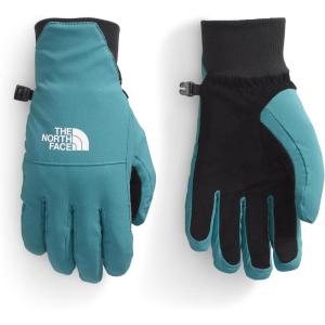 imageTHE NORTH FACE Womens Shelbe Raschel Etip GloveAlgae Blue
