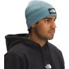 imageTHE NORTH FACE BeanieGoblin Blue